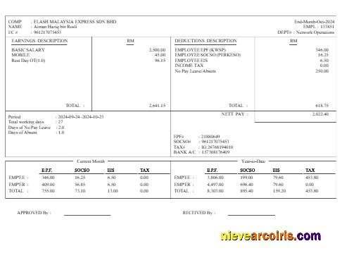 Flash Malaysia Express delivery services earnings